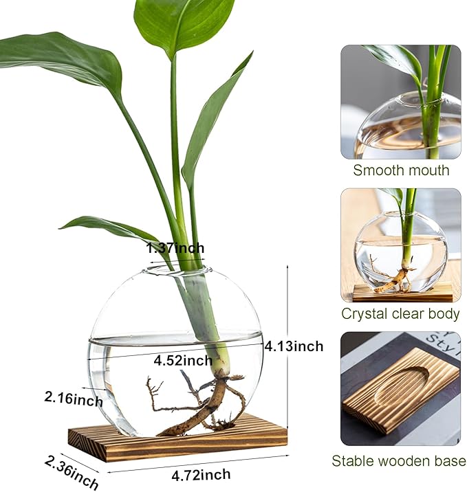 Propagation Vases for Plants - Glass Terrarium Planter with Wooden Stand, Small Desktop Oblate Hydroponic Propagation Vases for Modern Home & Office Decor (2)