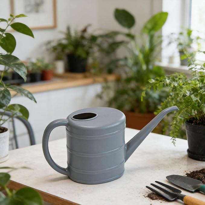 MYCENSE Watering Can Ergonomic Handle Easy to Use 2L Long Spout Water Can Watering Bucket for Flowers Kids Adults Yard Indoor Plants, Gray