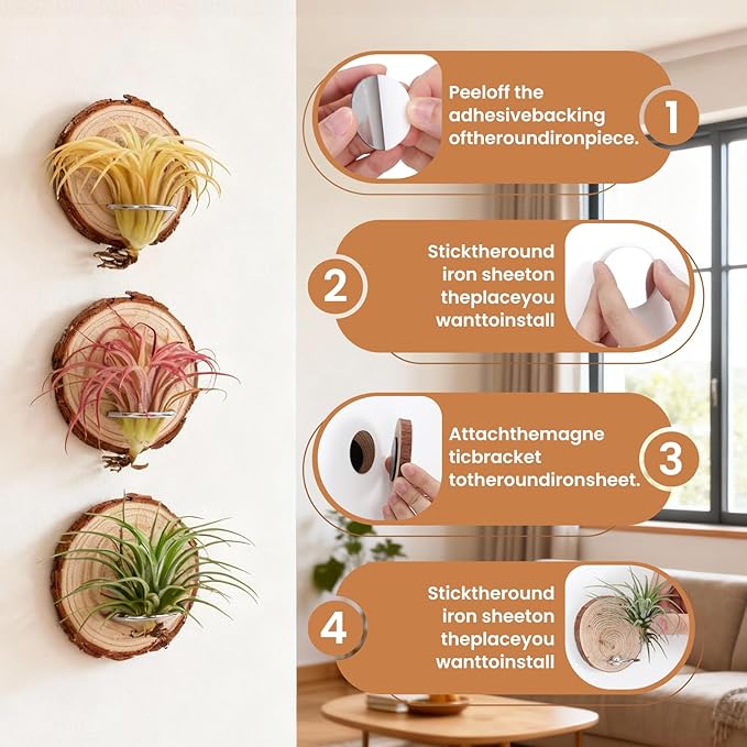 Magnetic Air Plant Holder, Natural Wood Slices Refrigerator Magnet Live Air Plant Holders, Modern Farmhouse Wall Decor for Living Room Bedroom Kitchen Office Home Garden (3 Pack)