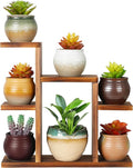Small Desk Plant Stand 7 Tiers Window Sill Plant Shelf Tabletop Succulent Stand Wood Desktop Flower Pot Stand Holder Plant Rack for Windowsill Desktop Window Ledge Countertop Narrow Space
