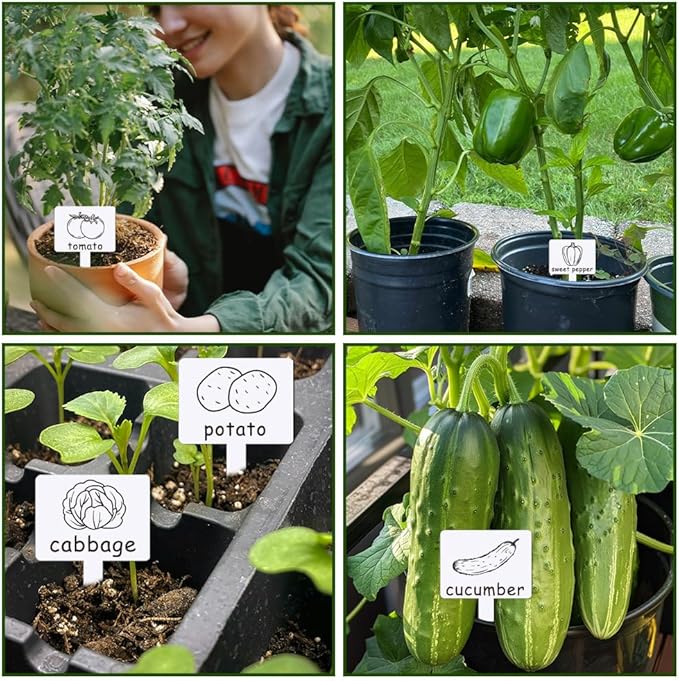 arricraft 15 Pcs Acrylic Plant Label Signs, Vegetable Themed Waterproof Garden Stake Labels T-Shaped Plant Marker with Vegetable Names for Indoor Outdoor Potted Plants Nursery Marker Decoration