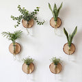 Chumia 6 Pcs Plant Propagation Stations Wall Hanging Planter Glass Plant Propagation Station, Natural Wood Slices Stand for Home Office Decoration