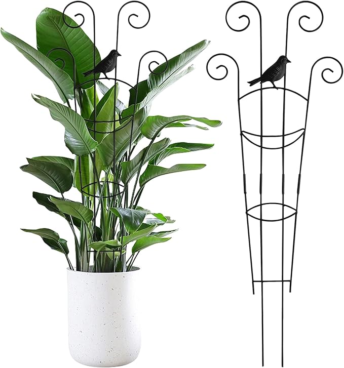 30 Inch 2Pack Garden Trellis for Climbing Plants, Rustproof Sturdy Metal Plant Trellis, Decorative Trellis for Potted Plants, Climbing Vines, Flowers, Vegetables, Indoor Outdoor Plant Support, Black