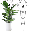 30 Inch 2Pack Garden Trellis for Climbing Plants, Rustproof Sturdy Metal Plant Trellis, Decorative Trellis for Potted Plants, Climbing Vines, Flowers, Vegetables, Indoor Outdoor Plant Support, Black