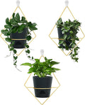 Koalaime 3 Sets Wall Planters for Indoor Plants Geometric Hanging Planters for Indoor Plants - Self-Watering Flower Pots with Black Metal Holder, Mounted Succulent Planter, 5" Black Plant Pot