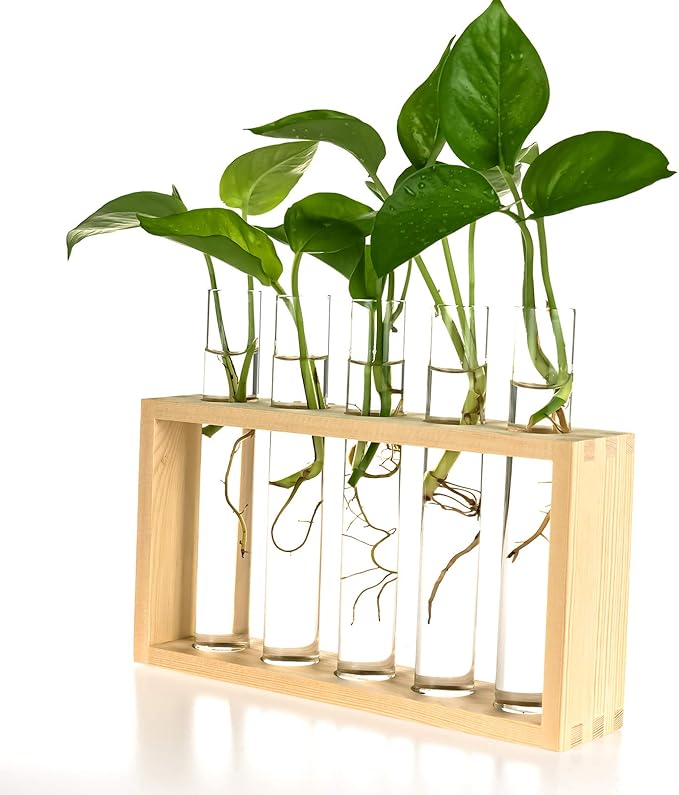 Kingbuy Wall Propagation Station with 5 Test Tube Vases - Vintage Wood Stand Wall Hanging Planter for Plants, Tabletop Terrarium Windowsill Decor Kitchen Herb Garden Accessory, Burlywood