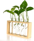 Kingbuy Wall Propagation Station with 5 Test Tube Vases - Vintage Wood Stand Wall Hanging Planter for Plants, Tabletop Terrarium Windowsill Decor Kitchen Herb Garden Accessory, Burlywood