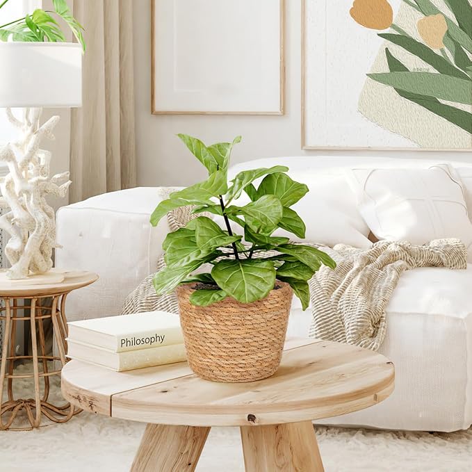 Beavorty Woven Flower Basket Plant Pot with Plastic Liner Indoor Outdoor Decorative Rattan Planter for Small Plants Succulents and Home Garden