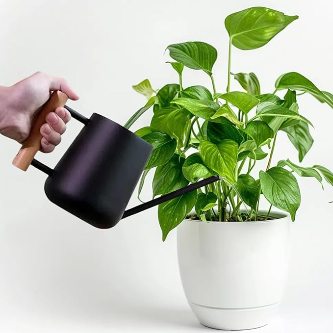 Indoor Watering Can with Long Spout, 34oz Capacity, Black Metal with Wood Handle (Black-Z1)