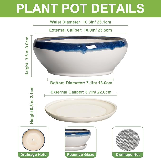 SQOWL Bonsai Pots - 10 Inch Ceramic Pots for Succulents Indoor, Shallow Planter with Drainage Hole and Saucer, Round Succulent Planters Bowl, Kitchen Decor, Housewarming Gifts, Blue Off-White
