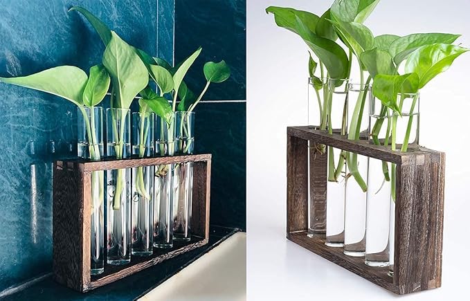 Wall Mounted Hanging Glass Test Tube Planter Propagation Station Glass Vase Rack with Wood Stand, Plant Terrarium Holder for Hydroponics Succulent Air Bamboo Plants with Test Tube
