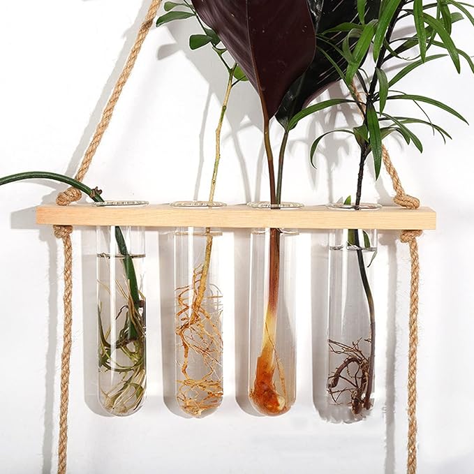 Yunseity Wall Mounted Plant Terrarium, Widely Used Plant Propagation Station, Space Saving, 8 Holes, 2 Tier Design, Test Tube Style, Easy Assembly for Family (Original Wood Color)
