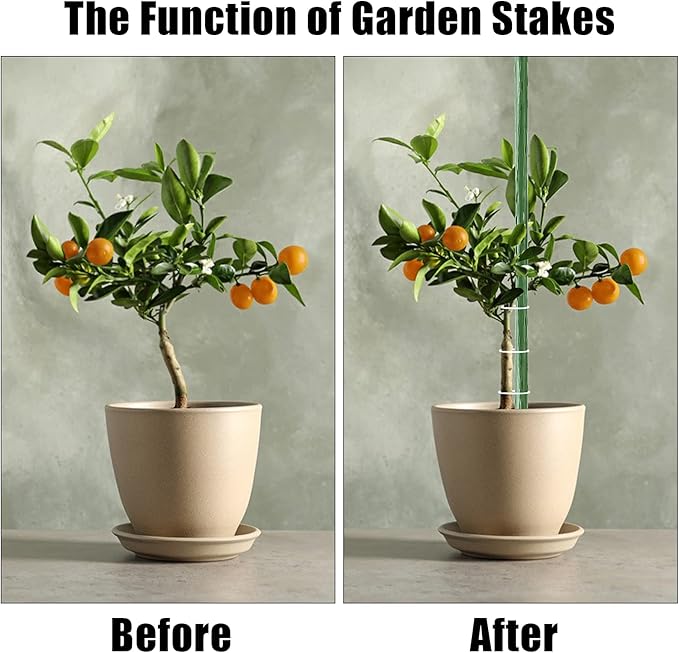 FEED GARDEN Garden Stakes 24 Inch 2ft 25 Pack,Sturdy Plant Metal Sticks Support,Plastic Coated Plant Stakes,Tomato Stakes,Beans,Trees