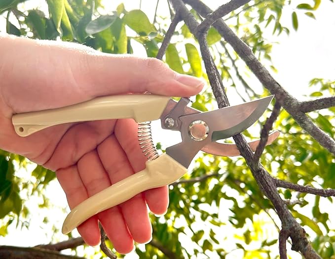 Ergonomic Garden Pruning Scissors - Stainless-Steel Bypass Blade Shears for Cutting Flowers, Trimming Plants, Bonsai, and Fruit Picking 1-Inch Precision with Quick Lock and Rust-Resistant Design 2pack