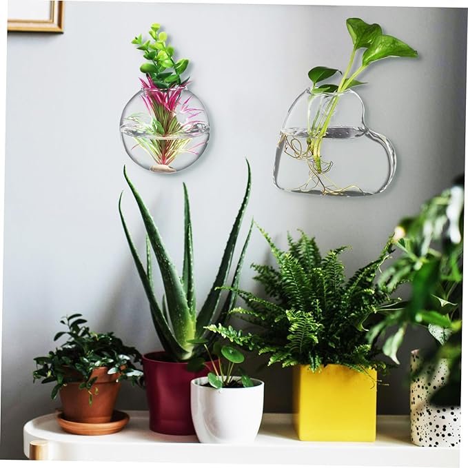 Sosoport 2 Pcs Borosilicate Glass Hanging Planter Vase for Indoor Plants and Fish Bowls Wall Mounted Propagation Station with Easy Installation Hardware Clear Glass Terrarium Pot for Home