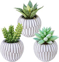 Winlyn Set of 3 Artificial Succulents Plants in Mini Gray and White Geometric Cement Pots Faux Potted Plants Aloe Pachyphytum Succulent Donkey Tail Small Plant for Home Office Table Shelf