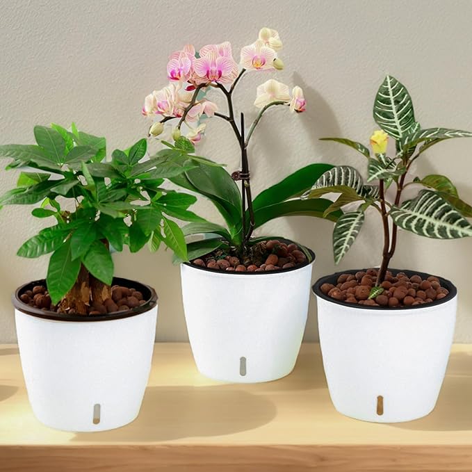 Planterhoma 5 Inch Self Watering Pots for Indoor Plants, 12 Packs African Violet Pots with Indicator, Black Wick Pot with Drainage Holes, Self Watering Planters for Orchid, Devil's Ivy, White
