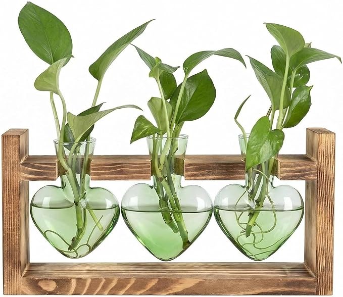 Plant Propagation Station 3Pcs Heart Vase with Wooden Stand Tabletop for Hydroponics Indoor Home Table Decor for Her Plant Lovers Women Mom Wife Daughter (Green)
