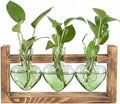 Plant Propagation Station 3Pcs Heart Vase with Wooden Stand Tabletop for Hydroponics Indoor Home Table Decor for Her Plant Lovers Women Mom Wife Daughter (Green)
