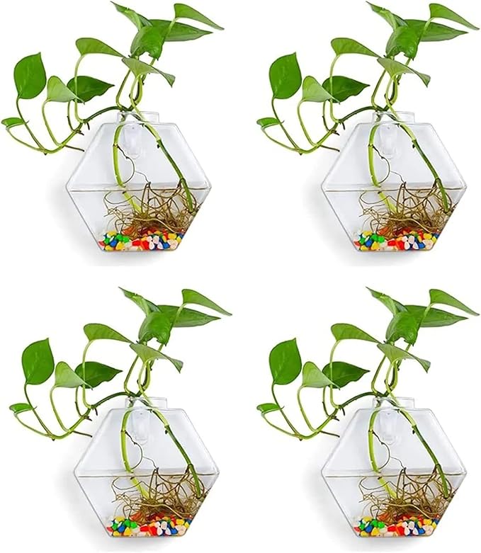 4 Pack Hanging Wall Mounted Glass Fish Bowl, Hexagonal Clear Betta Tank Fish Bubble Flower Pot Vase, Wall Hanging Terrarium Plant Propagation Stations for Hydroponics Plants Home Decor