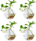 4 Pack Hanging Wall Mounted Glass Fish Bowl, Hexagonal Clear Betta Tank Fish Bubble Flower Pot Vase, Wall Hanging Terrarium Plant Propagation Stations for Hydroponics Plants Home Decor
