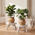 Novabright 2 Pcs Short Plant Pedestal Wood Plant Stool Round Low Wood Riser Pedestal Display Decor Flower Indoor Outdoor Rustic Farmhouse Table Balcony Decor Board Flower Holder Rise (White)