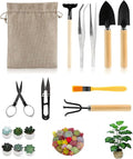 10 Piece Set of Garden Potted Tools Mini Garden Tool Set for Miniature Succulent Bonsai Cactus Planting Transplant Gardening Hand Tools