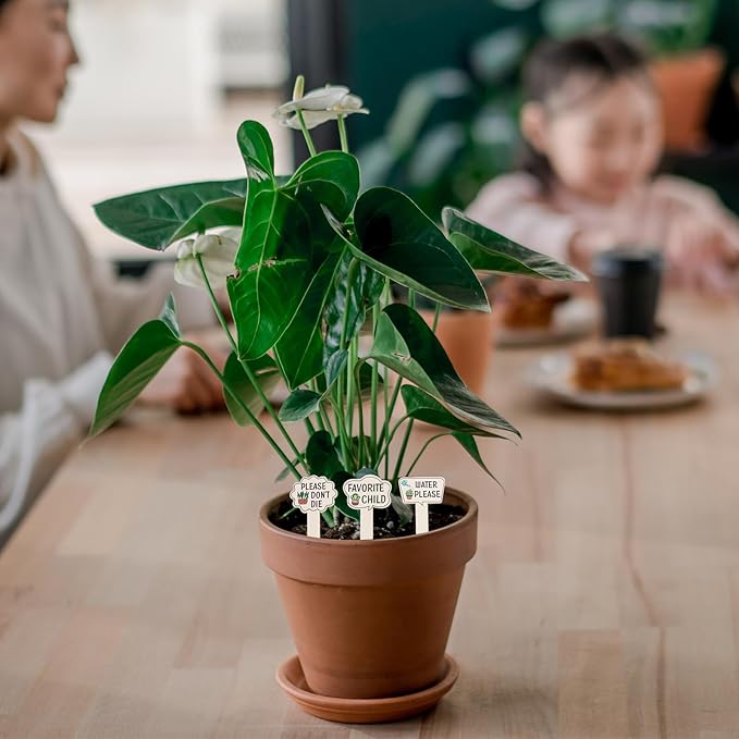 Lurrose 15PCS Wooden Garden Plant Markers Funny Printed Words Reusable Succulent and Vegetable Labels Indoor Outdoor Plant Tags Home Garden