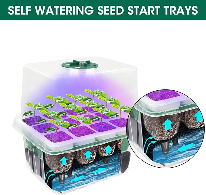 MYMULIKE Seed Starter Tray with Grow Light,5 Pack 60 Cells Seedling Tray Kit Reusable & Dishwasher Safe for Starting Vegetable, Flower & Herb Seeds Indoor Grow Kit for Deep-Rooted Seedlings