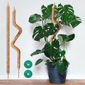 2-Pack 35in Moss Poles for Climbing Plants, Adjustable Plant Support Sticks for Monstera, Pothos Vines, Philodendron, Fishbone Cactus & Indoor Tropical Houseplants, Coco Coir