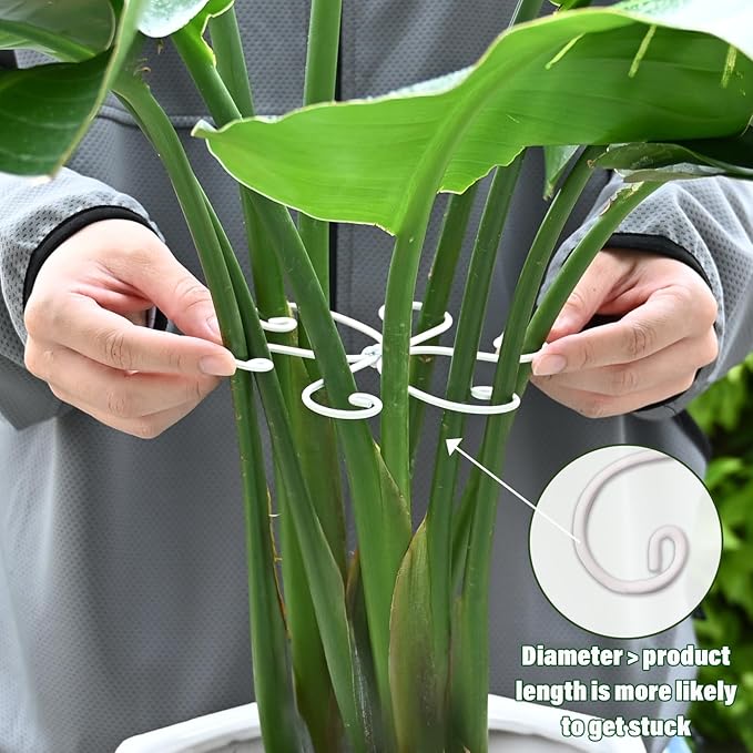 YOHSNOR 5PCS Monstera Plant Support Hook - 5.5x5.5 inch Premium Indoor Stem Stabilizer for Monstera & Fishbone Cactus, Durable,Easy Installation, Gentle Protection for Healthy Plant Growth