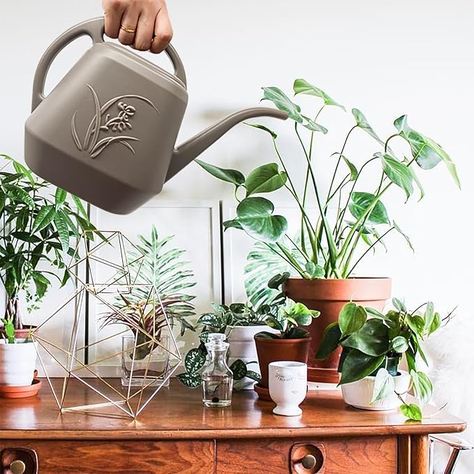 Plant Watering Can - 1 Gallon - Coffee Color