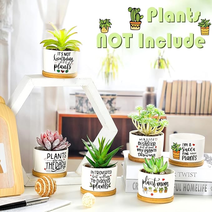6 Pcs Funny Succulent Plant Pot Cute Christmas Teacher Gifts Box Set Plant Pot with Bamboo Tray Ceramic Funny Planter Succulent Accessories for Women Teacher Christmas Birthday Gifts (Cute Style)
