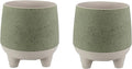 The HC Companies Orion Self Watering Planter - Lightweight Indoor Plastic Plant Pot for Herbs and Flowers (8" Sage, Pack of 2)