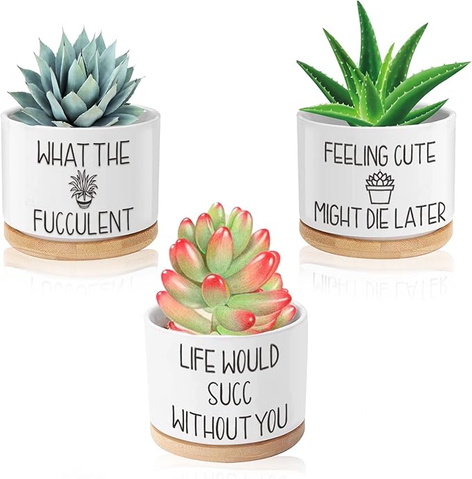 Funny Plant Pots, 3.15 inch Ceramic Flower Succulent Pots with Drainage Holes and Saucers, Cute Cactus Planters for Indoor Plants, Birthday Gifts for Women, Pack of 3 - Plants Not Included