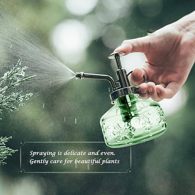 XXXFLOWER Glass Plant Mister Spray Bottle for Indoor Plant+Cactus Plant Propagation Station Terrarium Jars