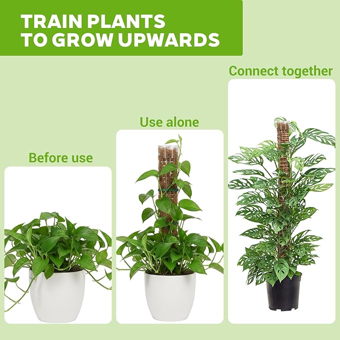6 Pcs 24 Inch Plastic Moss Pole for Plants Monstera, Transparent White Large D Shaped Plant Support for Climbing Indoor Plants Ideal for Sphagnum Moss