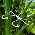 Yohsnor 6.5 * 6.5in Monstera Plant Support Hook 5PCS - Durable Stabilizer & Leaf Holder for Indoor Plants, Flexible Installation & Soft Grip Design - Perfect for Fishbone Cactus and Other Houseplants