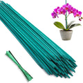 HAINANSTRY Bamboo Plant Stakes 50PCS, 18Inch Natural Bamboo Garden Stakes, Supports Indoor & Outdoor Plants, Straight Style, Green