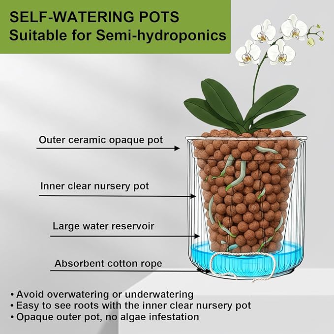 2 Pack of 4in Ceramic Cachepot with 4 inch Clear nusery Pot - self Watering Indoor Planter with Drainage for Root Visibility,semi Hydro pots for repotting Succulent,Black