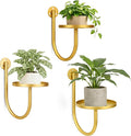 Wall Plant Holders for Indoor Plants, 3 Pack Metal Wall Mounted Plant Shelves，Modern Window Plant Hanger, Space Saving Hanging Planters for Living Room Bedroom Kitchen Bathroom Office Decor, Golden