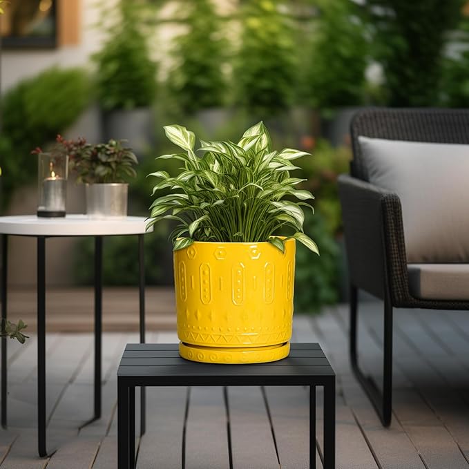 Eightpot 8 Inch Plant Pot, Ceramic Pots for Plants with Drainage Hole and Sacuer, Round Flower Pots for Indoor Outdoor Plants, Modern Decorative Planter, Table Decor, Plant Gifts for Women, Yellow