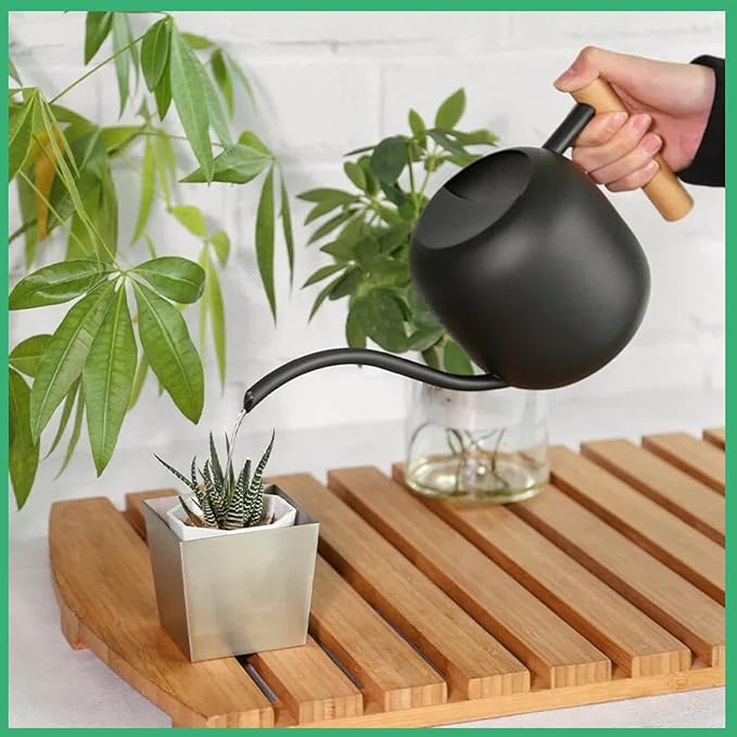 Indoor Watering Can with Long Spout, 40oz Capacity, Black Metal with Wood Handle,Plant Mister Spray Bottle (Black-W2)