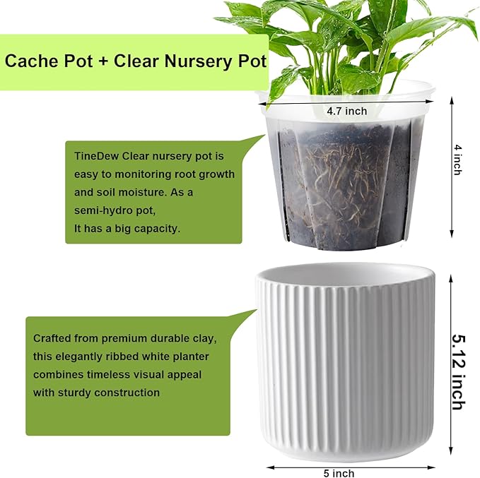 2 Pack of 5in Ceramic Cachepot with 5 inch Clear nusery Pot - self Watering Indoor Planter with Drainage for Root Visibility,semi Hydro pots for repotting Orchid,White