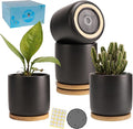 TAMAYKIM 4 Inch Ceramic Plant Pots with Drainage Holes, Adorable Flower Planter Pot with Tray for Indoor Plants, Succulent, Snake Plants, Cactus & Herbs, Black, Set of 4 (Plant Not Included)