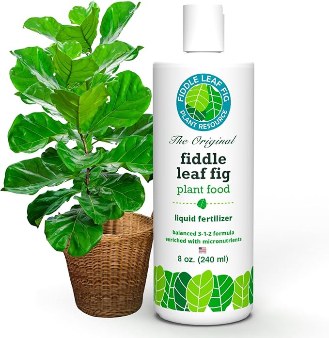 Fiddle Leaf Fig Notching Bundle