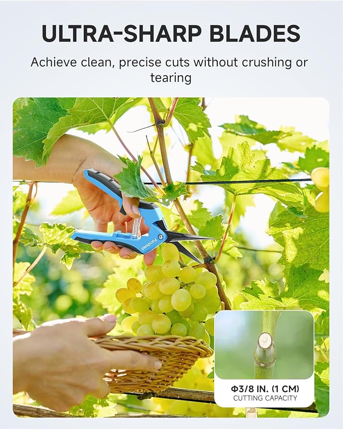 Fondwell 6.5" Garden Shears Pruning Scissors: 2 Pack of Lightweight Bud Trimming Scissors for Precision Cutting - Non-Stick Curved Blade