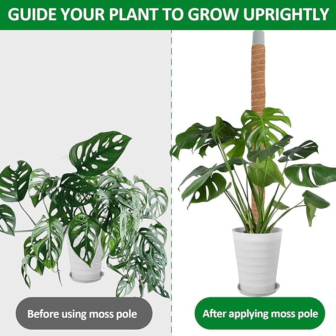 2 Pack Moss Pole, 55 Inches Tall Bendable Coco Coir Poles Monstera Plant Support for Climbing Indoor Plants, DIY Plant Stakes Kit Support for Pothos, Philodendron,Potted Plants