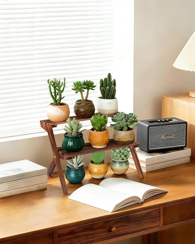 2 Tier Small Wood Plant Stand for Desktop, X-Frame Windowsill Plant Shelf Indoor, Table Top Mini Ladder Flower Pot Holder Display Rack for Succulent, Herbs, Decorations, Kitchen Spices