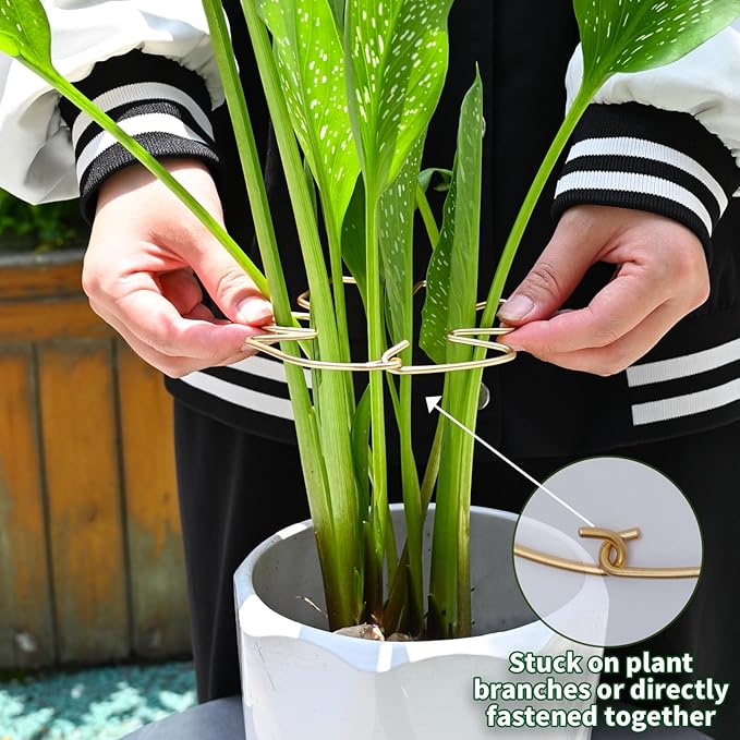 Yohsnor Monstera Plant Stem Support System - 5 Piece Set (5.5x4.7in) | Durable Plant Support Stakes for Climbing Plants & Fishbone Cactus | Ideal Leaf Stabilizer for Indoor Plants & Monstera Care